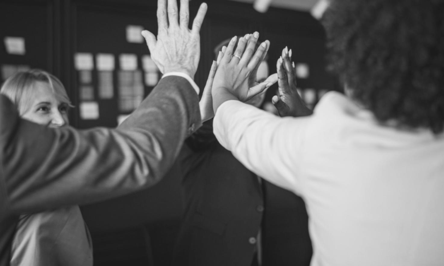 SEMrush para quienes recién empiezan con SEO